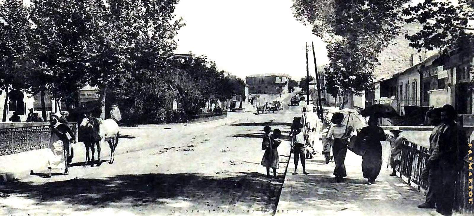 3012- Sidi-Bel-Abbes - Avenue de la Gare2.jpg